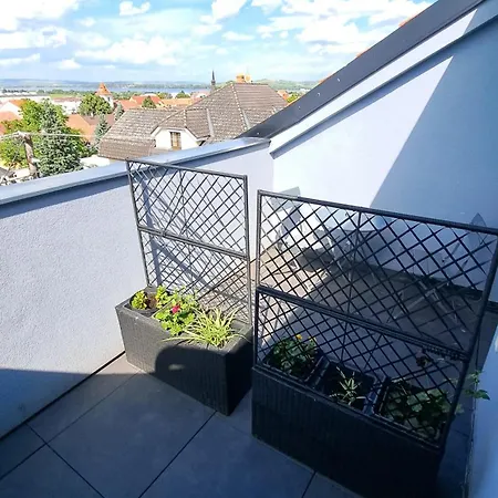 Moravia Apartamento *